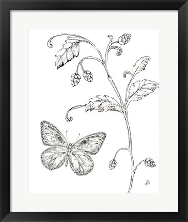 Framed Outdoor Beauties Butterfly II Print