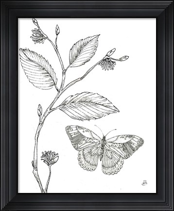Framed Outdoor Beauties Butterfly I Print
