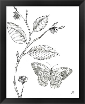 Framed Outdoor Beauties Butterfly I Print