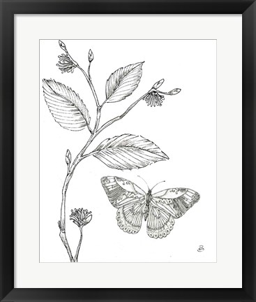 Framed Outdoor Beauties Butterfly I Print