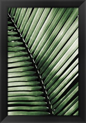 Framed Palm Frond I Green Print