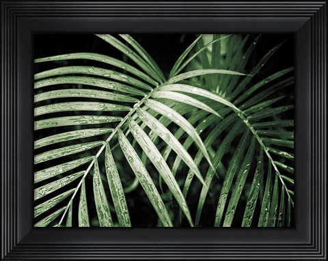 Framed Palm Fronds Green Print