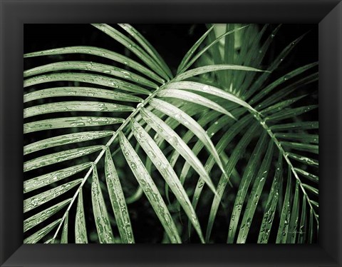 Framed Palm Fronds Green Print