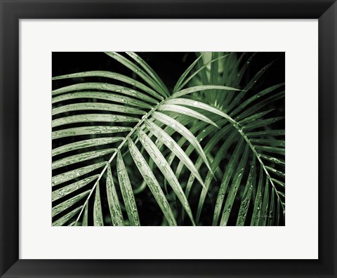 Framed Palm Fronds Green Print