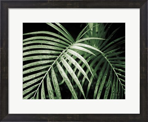 Framed Palm Fronds Green Print