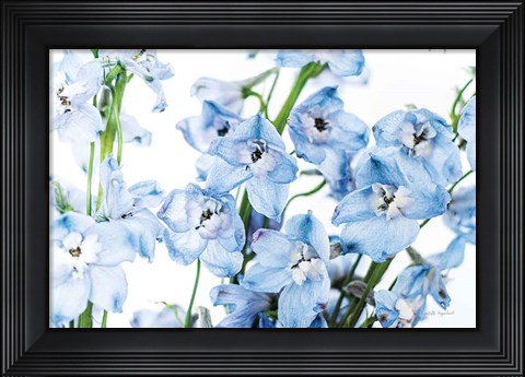 Framed Freshly Picked Delphinium I Print