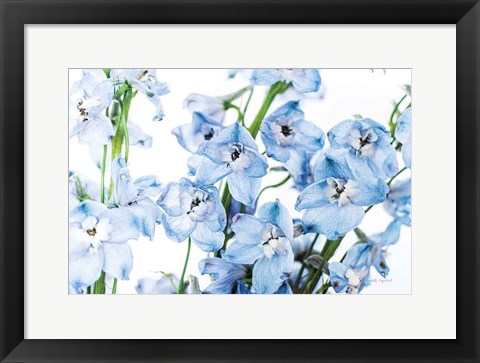 Framed Freshly Picked Delphinium I Print