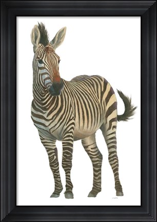 Framed Wild and Free VI Print