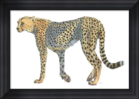 Framed Wild and Free VII Print