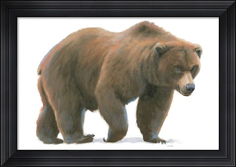Framed Northern Wild  I Print