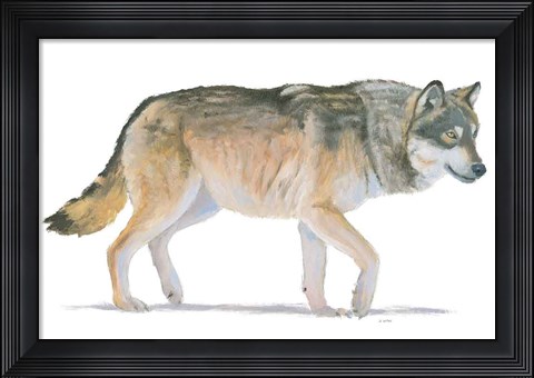 Framed Northern Wild II Print