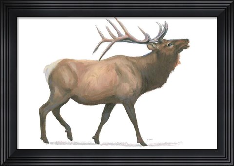 Framed Northern Wild III Print