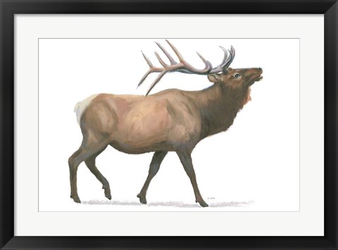 Framed Northern Wild III Print