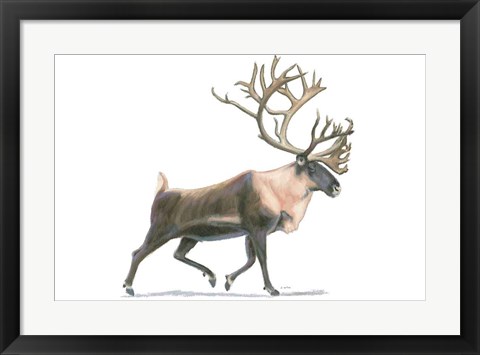 Framed Northern Wild IV Print