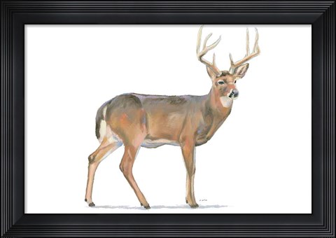 Framed Northern Wild V Print