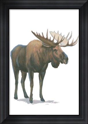 Framed Northern Wild VI Print