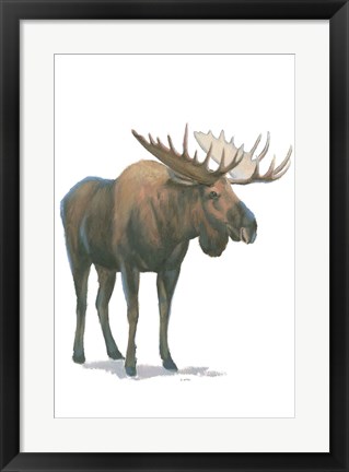 Framed Northern Wild VI Print