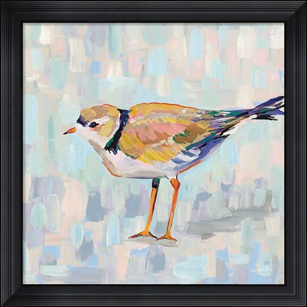Framed Coastal Plover IV v2 Neutral Print
