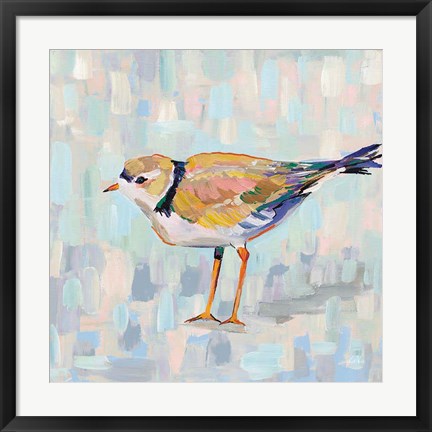 Framed Coastal Plover IV v2 Neutral Print