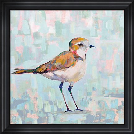Framed Coastal Plover III Neutral Print