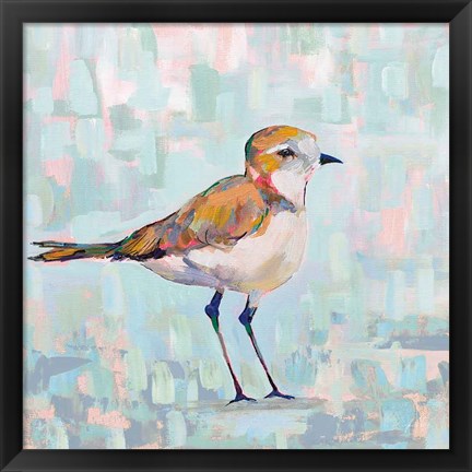 Framed Coastal Plover III Neutral Print