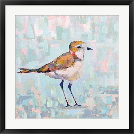 Framed Coastal Plover III Neutral Print