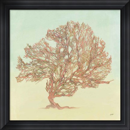 Framed Sea Fern II Print