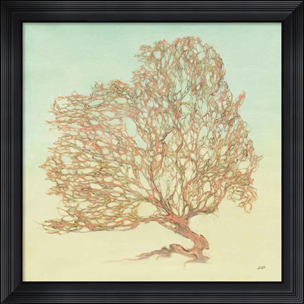 Framed Sea Fern I Print