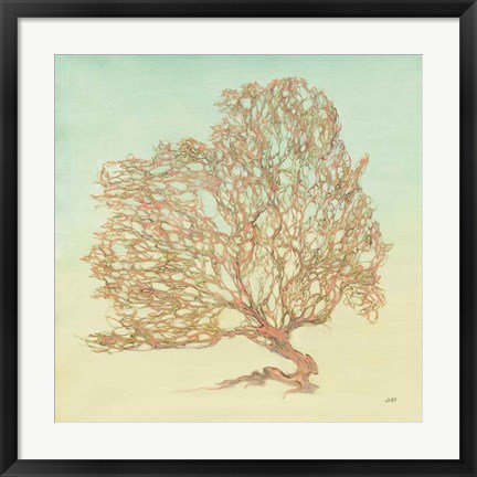 Framed Sea Fern I Print