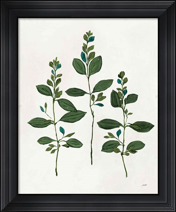 Framed Botanical Study IV Greenery Print