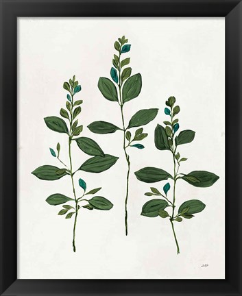 Framed Botanical Study IV Greenery Print