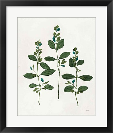 Framed Botanical Study IV Greenery Print