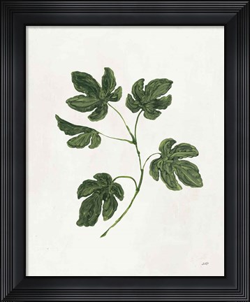 Framed Botanical Study III Greenery Print