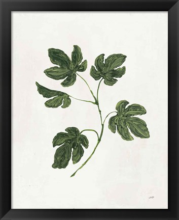 Framed Botanical Study III Greenery Print