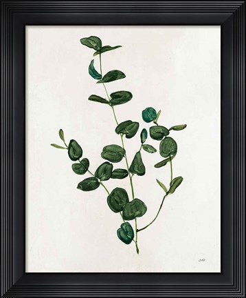 Framed Botanical Study II Greenery Print