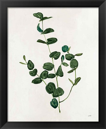 Framed Botanical Study II Greenery Print