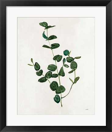 Framed Botanical Study II Greenery Print