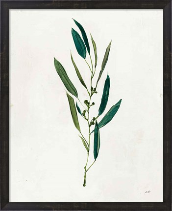 Framed Botanical Study I Greenery Print