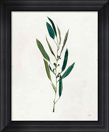 Framed Botanical Study I Greenery Print