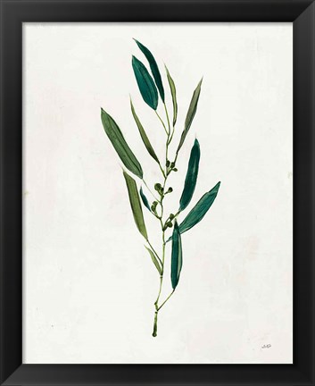 Framed Botanical Study I Greenery Print