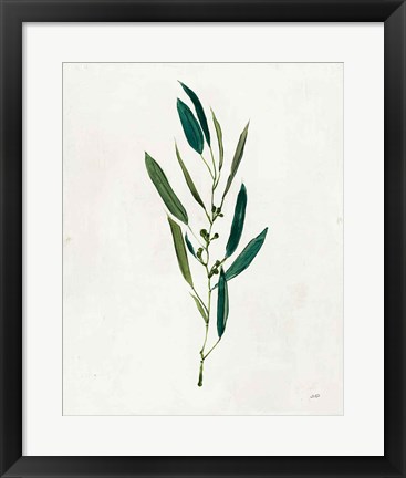 Framed Botanical Study I Greenery Print