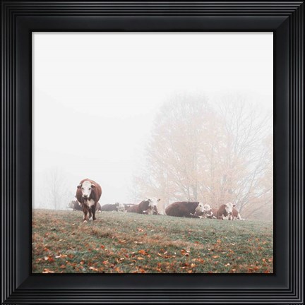 Framed Misty Pasture Print