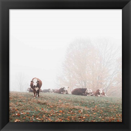 Framed Misty Pasture Print