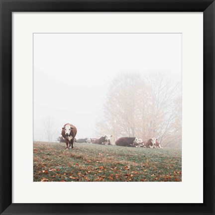 Framed Misty Pasture Print