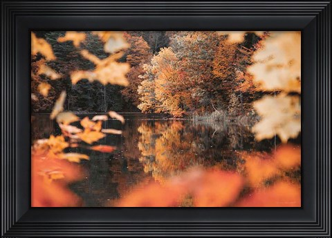 Framed Autumn Reflections Print