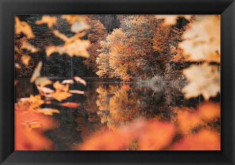 Framed Autumn Reflections Print