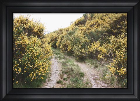 Framed Scottish Highlands II Print