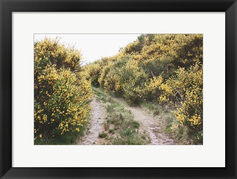 Framed Scottish Highlands II Print