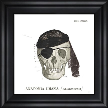 Framed Dandy Bones VI Pirate Print
