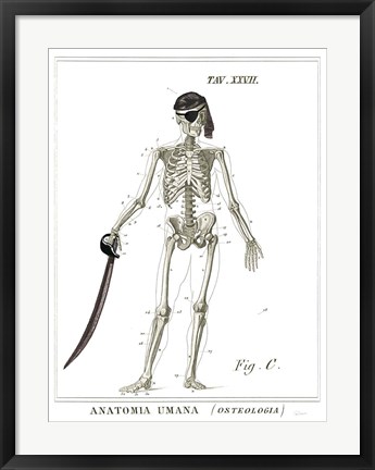 Framed Dandy Bones Pirate Print